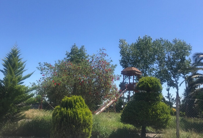 معنی لموک چیست